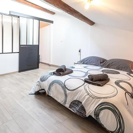 Appartements Tout Equipes Au Coeur De Beziers Béziers